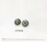 Click for 1 image(s) for this accession. FRUIT